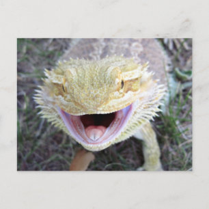 Super Happy Bearded Dragon Postcard