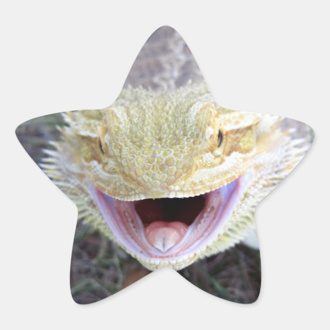 Super Happy Bearded Dragon Star Sticker (Front)