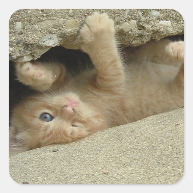 Super Hero Orange Tabby Kitten Square Sticker (Front)