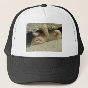 Super Hero Orange Tabby Kitten Trucker Hat