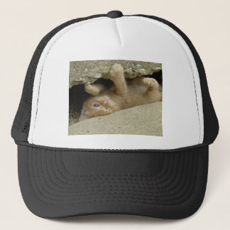 Super Hero Orange Tabby Kitten Trucker Hat
