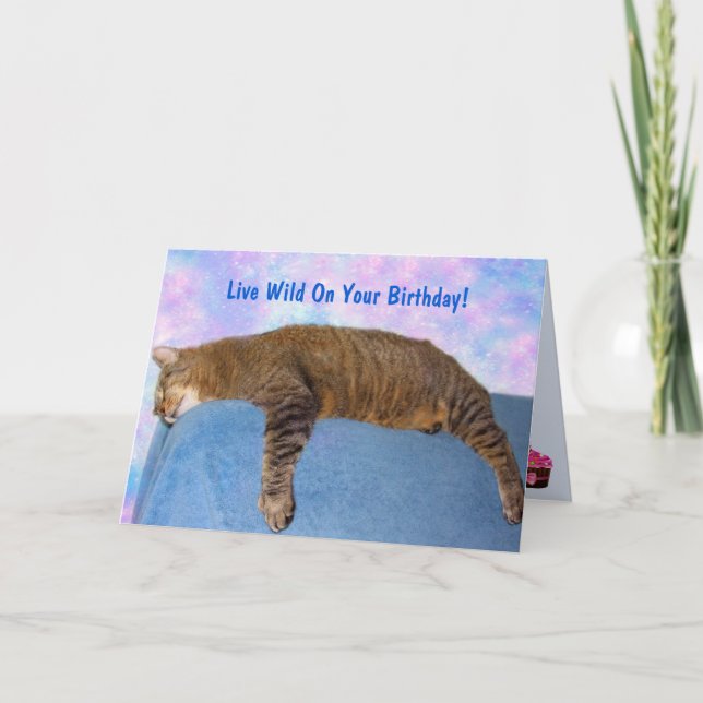 Super Lazy Party Cat Birthday Card (Front)