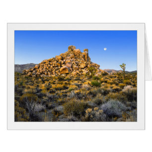 " Super-Moon Morning "