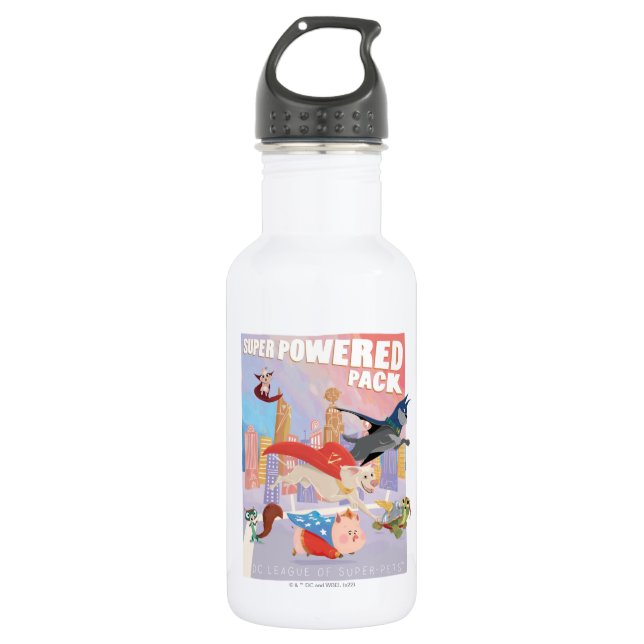 Super Powered Pack Metropolis Illustration 532 Ml Water Bottle (Front)