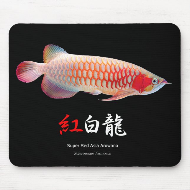 “Super Red Arowana”の優良製品 2 Mouse Pad (Front)