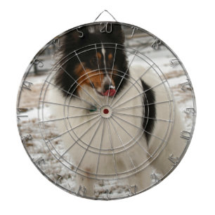 Super shelty dartboard