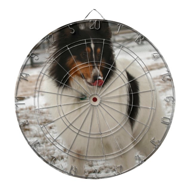 Super  shelty dartboard (Front)