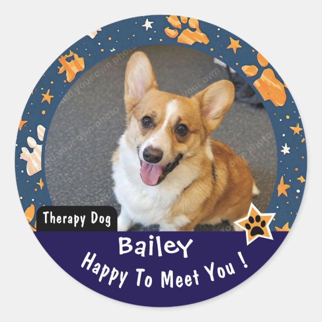 Super Star Theme Therapy Dog Visit Custom Classic Round Sticker (Front)