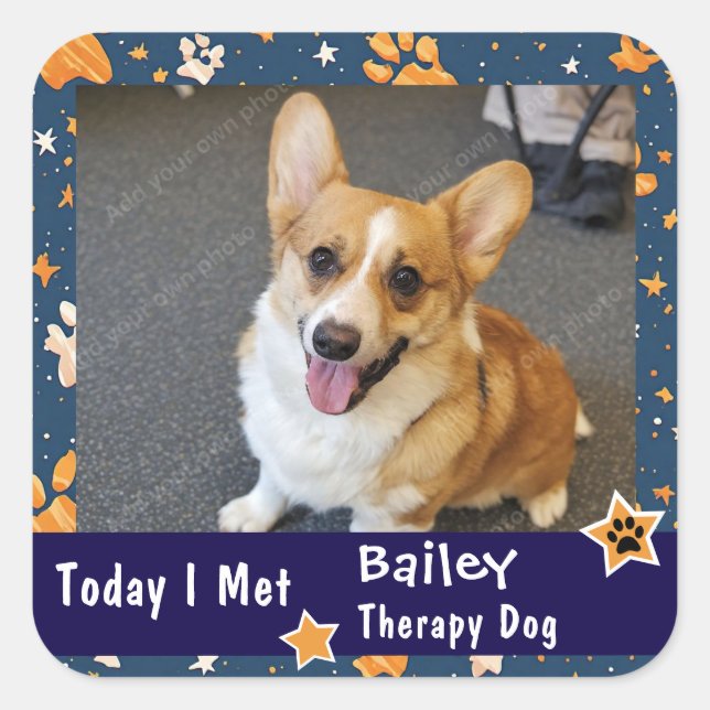 Super Star Therapy Dog Today I Met Visit Square Sticker (Front)