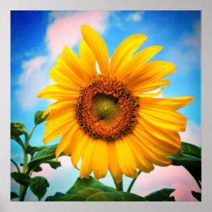Super Sunflower Poster