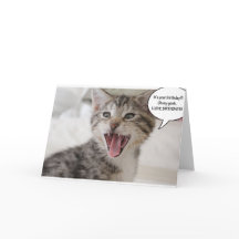 Super Surprised Birthday Kitten!