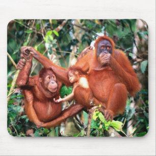 Super Sweet Orangutans w/Baby Mouse Pad