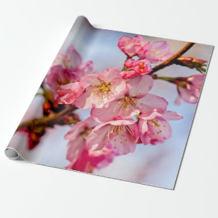 Superb Beauty Of Pink Sakura Flowers Wrapping Paper