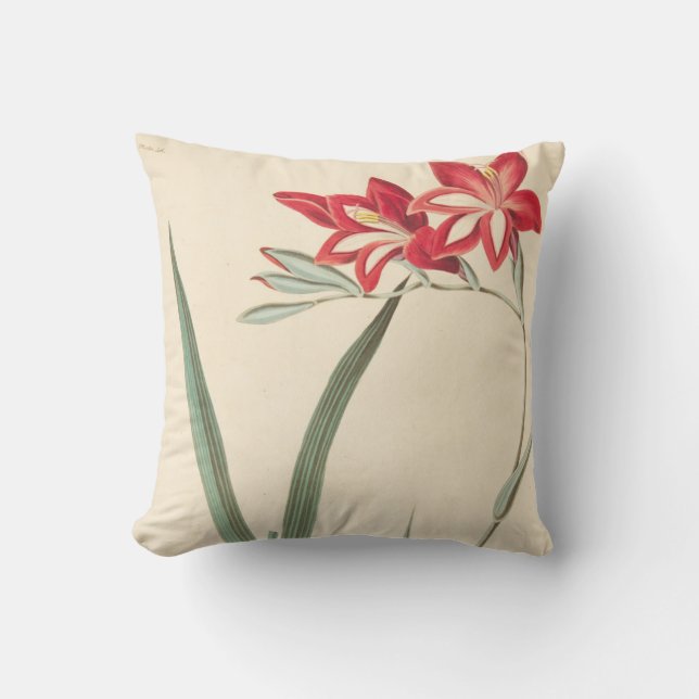 Superb Corn-Flag Cushion (Front)