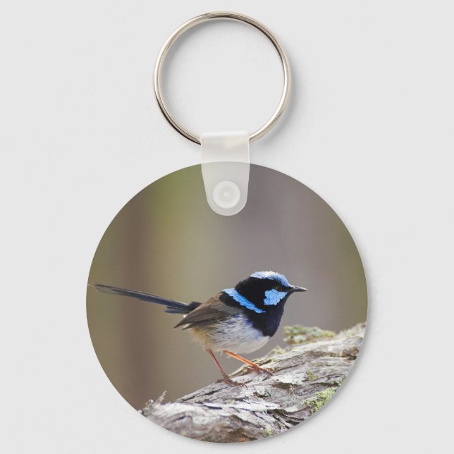 Superb Fairy-wren Key Ring (Front)