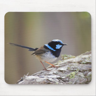 Superb Fairy-wren Mouse Pad
