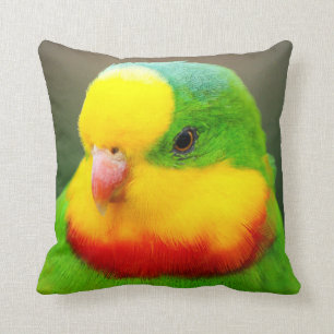 Superb Parrot Cushion