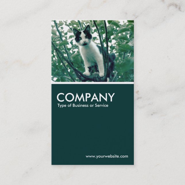 Superfluity of Naughtiness - Dark Green Business Card (Front)