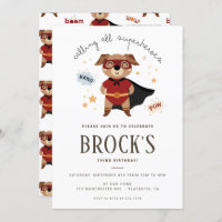 Superhero Dog Birthday Puppy Pawty 