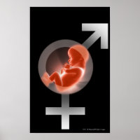 Superimposed foetus over male and female symbols