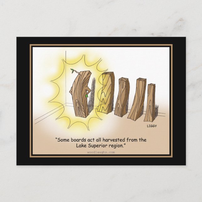 Superior Cartoon Postcard (Front)