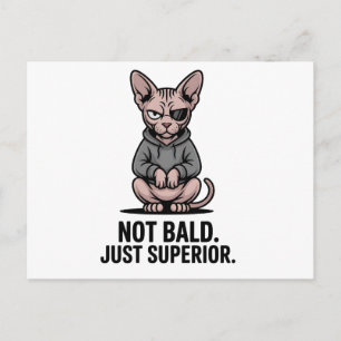 Superior Sphynx Cat Attitude Illustration Postcard