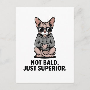 Superior Sphynx Cat Attitude Illustration Postcard