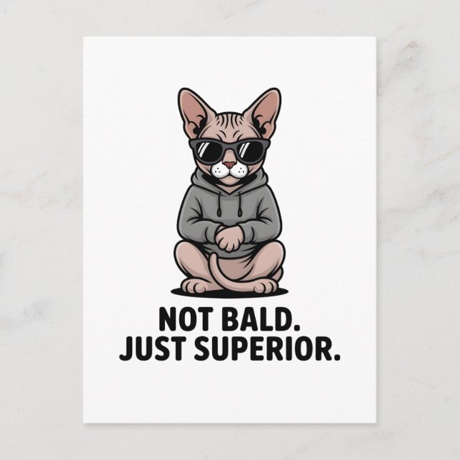 Superior Sphynx Cat Attitude Illustration Postcard (Front)