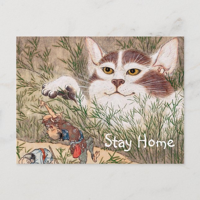 Supernatural Cat Postcard (Front)