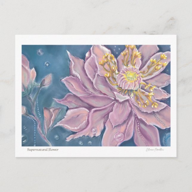 Supernatural Flower Postcard (Front)