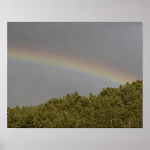 Supernumerary rainbow, above evergreen forest poster