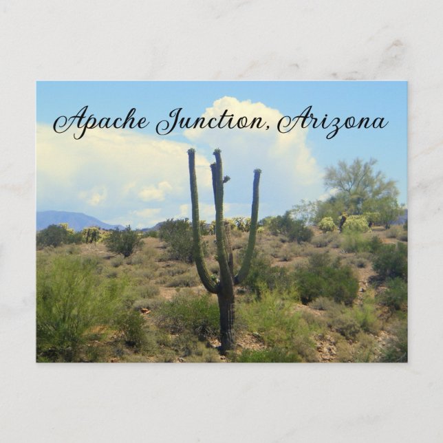Superstition beauty Apache Junction, Arizona Postcard (Front)