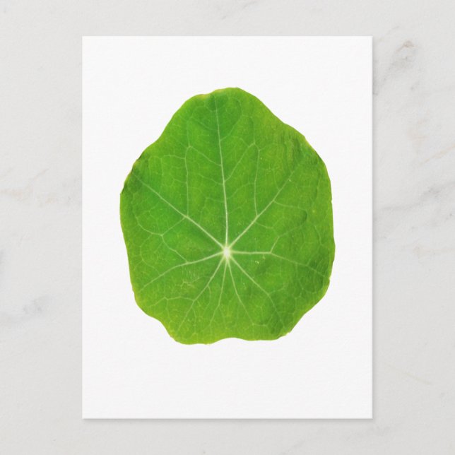 Support Green, Save the Planet Postcard (Front)