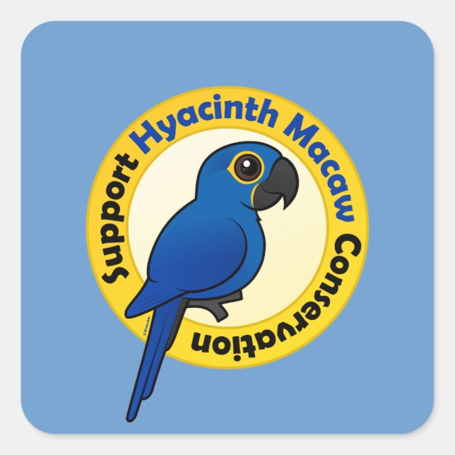 Support Hyacinth Macaw Conservation Square Sticker (Front)