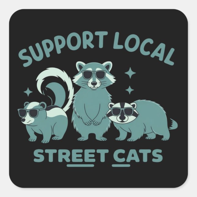 Support Local Street Cat Funny Racoon Opossum Square Sticker (Front)