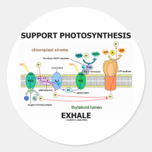 Support Photosynthesis Exhale (Biochemistry Classic Round Sticker