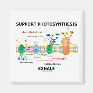 Support Photosynthesis Exhale (Biochemistry Magnet