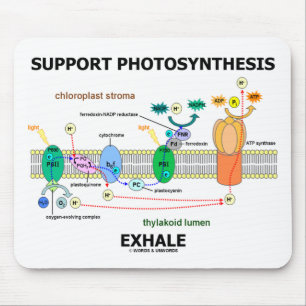 Support Photosynthesis Exhale (Biochemistry Mouse Pad