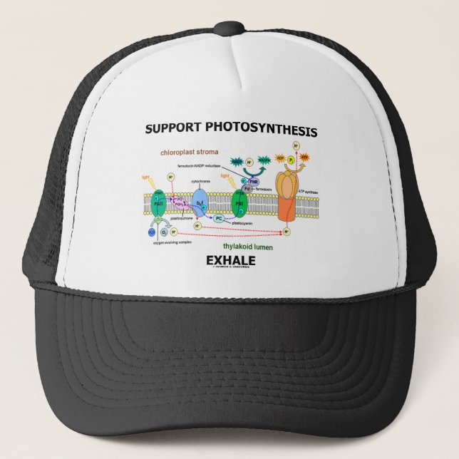 Support Photosynthesis Exhale (Biochemistry Trucker Hat (Front)