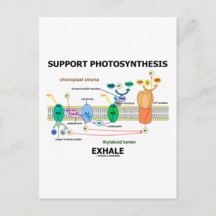 Support Photosynthesis Exhale (Environmental) Postcard