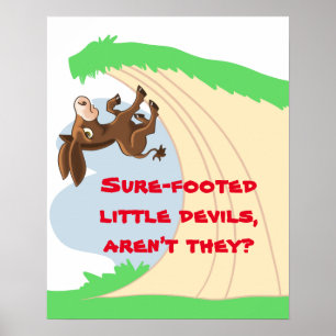 Sure-footed Little Donkey Poster