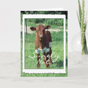 Surely Not-customise-any occasion Card