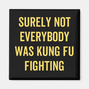 Surely Not Everybody Was Kung Fu Fighting Magnet