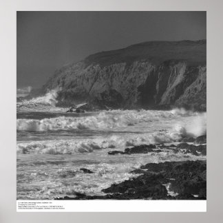 Surf and Rocks near Bodega Station, 1966 Poster