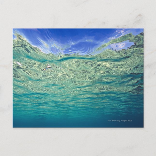 Surface of clear topical sea seen from postcard (Front)