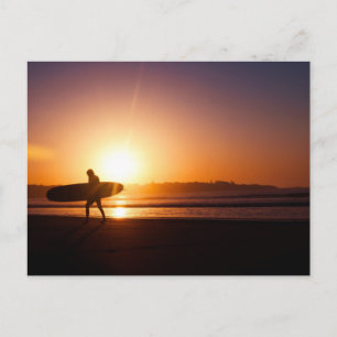 Surfer Carrying Surfboard on Beach at Sunset Postcard