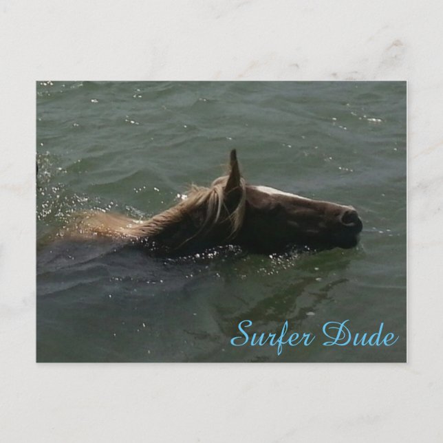 Surfer Dude Postcard (Front)