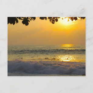 Surfers in Sunshine Reflections at Sunset Postcard