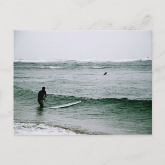 Surfers on the North Shore Postcard