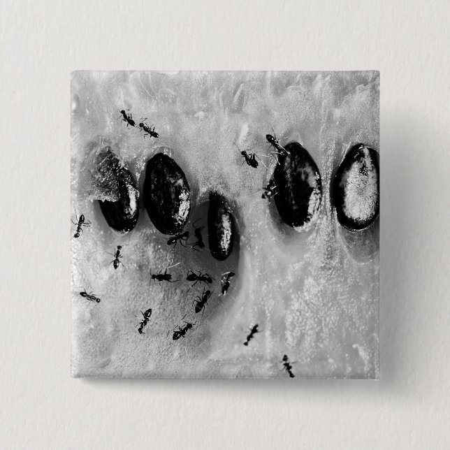 surfing ants 15 cm square badge (Front)